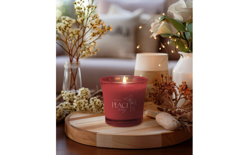 Ray EU Soy Wax 220ml bezbarwny/bezbarwny